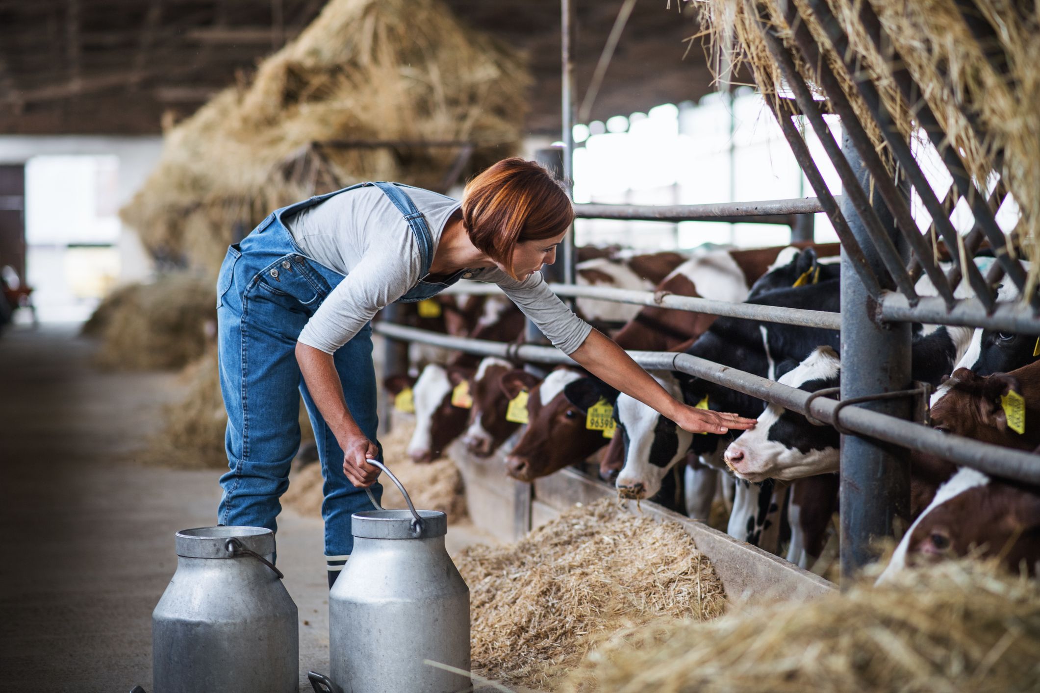 Der Arbeitsmarkt in der Landwirtschaft: Das müssen Sie wissen